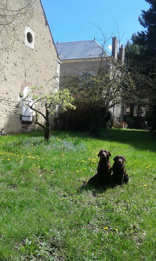 Vailly-sur-Sauldre La Sauldre B&B 외부 사진