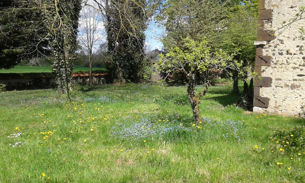 Vailly-sur-Sauldre La Sauldre B&B 외부 사진